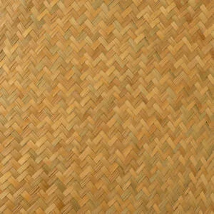 SAMOA JUNGLE 36"-42"